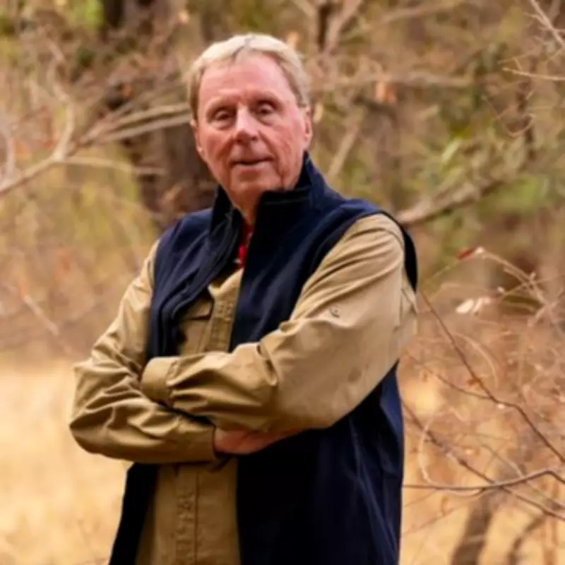 Harry Redknapp Downplays Chances Ahead of I'm A Celeb All Stars Return