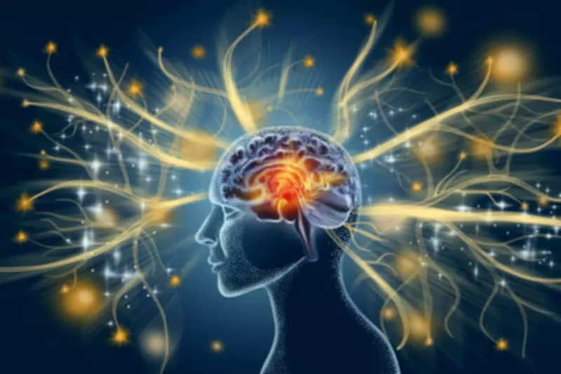 Harvard Professor Launches AI Startup for 'Perfect' Human Memory