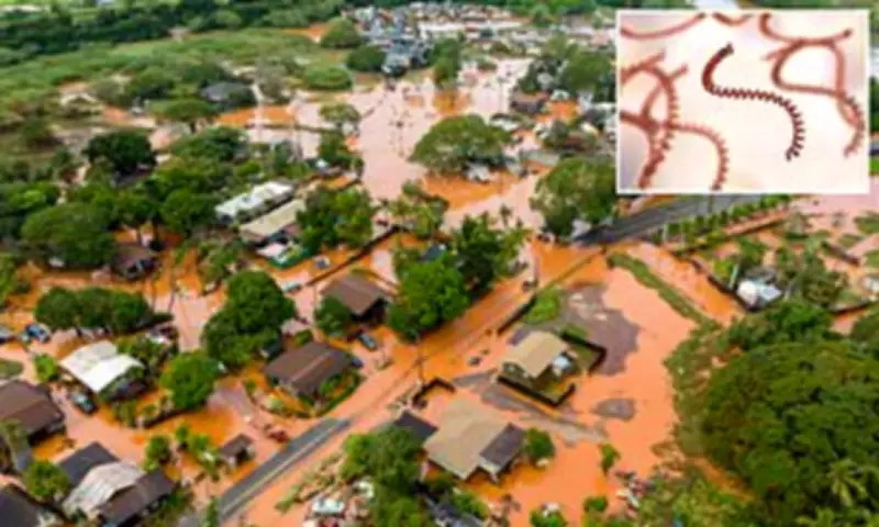 Hawaii Flood Waters Harbor Deadly Bacteria, Health Officials Issue Urgent Warning