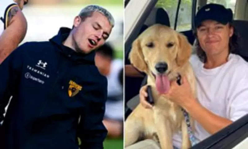 Hawthorn Star Jack Ginnivan's Car Stolen Before Gather Round Clash