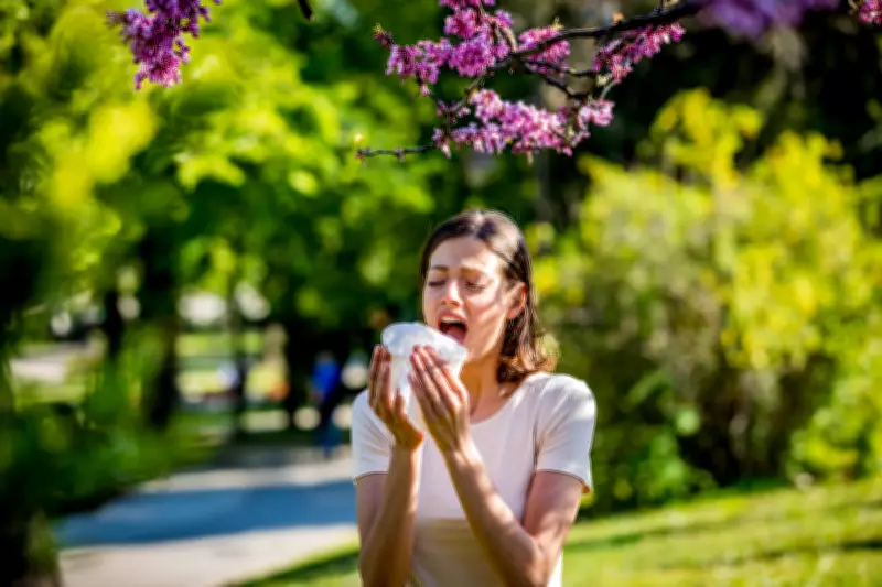 Hay Fever vs. Cold: Experts Reveal Key Symptom Differences