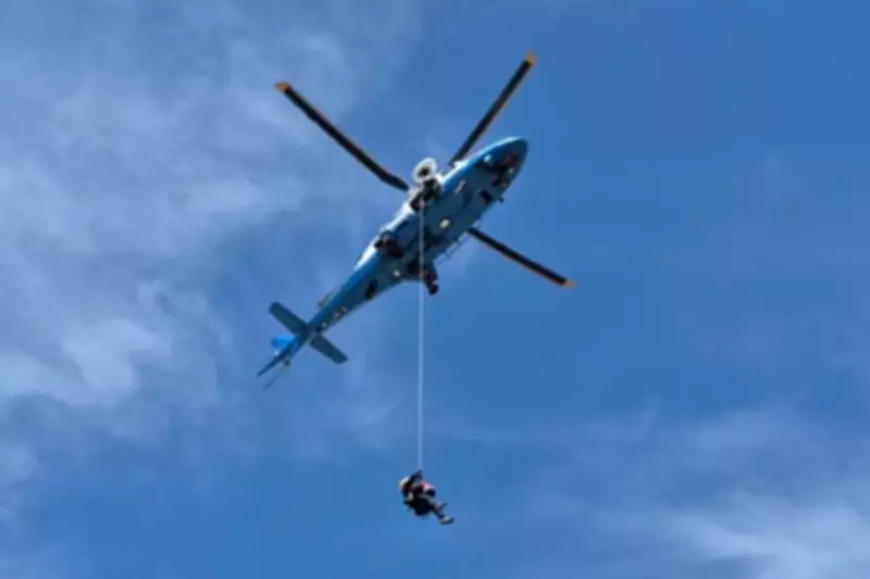 Hiker in Critical Condition After 100+ Bee Stings on Arizona Mountain