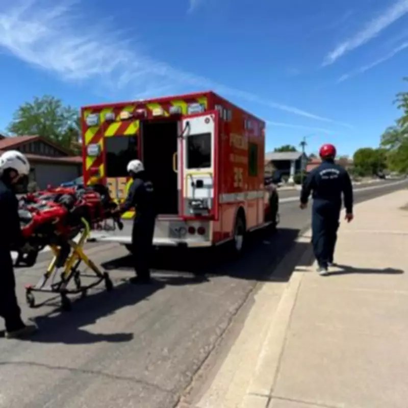 Hiker in Critical Condition After Sustaining Over 100 Bee Stings on Arizona Mountain