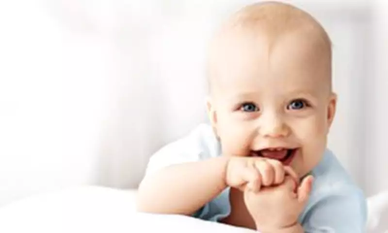 HiPP Recalls Baby Food Over Undeclared Celery Allergen Risk