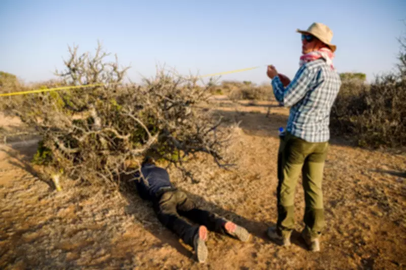 Historic Drought Threatens Myrrh Trees, Jeopardising Perfume Industry and Ethiopian Livelihoods