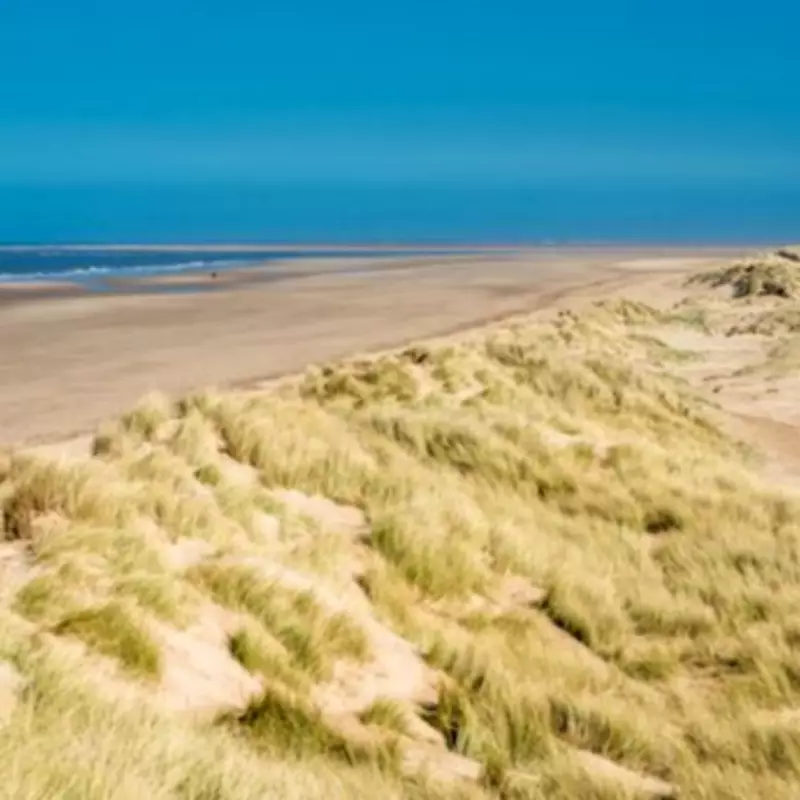 Holkham Beach in Norfolk Named Among UK's Most Beautiful Unspoiled Destinations