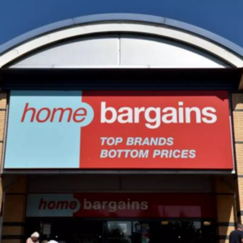 Home Bargains' £10 Cabin Bag Meets easyJet and Jet2 Size Rules