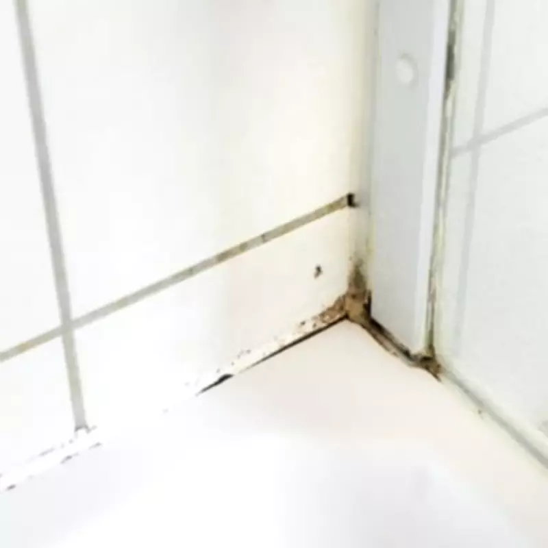 Homemade 3-Ingredient Solution Banishes Shower Mould and Water Marks