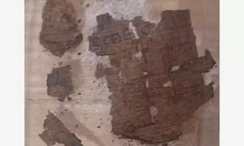 Homer's Iliad Found in Egyptian Mummy, Revealing Ancient Funerary Rituals