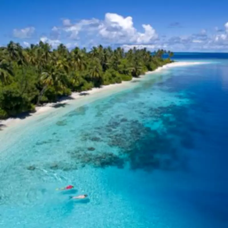 Honeymoon Shark Attack in Maldives Leaves Spanish Doctor Fighting for Life