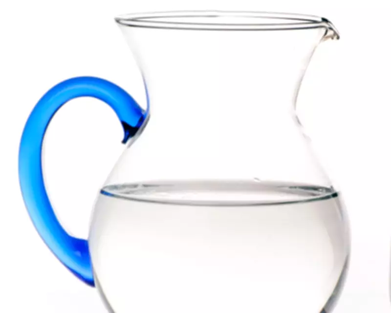 Houseplant Hack: Letting Tap Water Stand Overnight Removes Chlorine