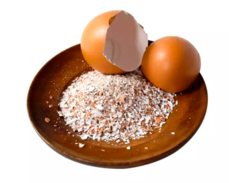 Houseplant Hacks: Do Eggshells Deter Fungus Gnats? The Truth Revealed