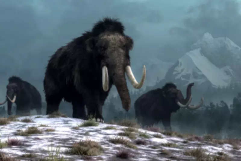 How Ice Age Beast Extinctions Still Impact Food Chains Today