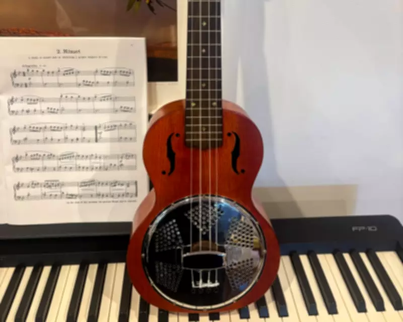How the Ukulele Brought Back a Lost Joy: A Personal Journey into Music