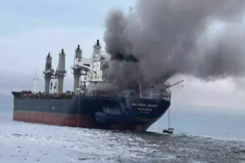 Human Remains Found on Thai Cargo Ship After Iran's Drone Attack in Strait of Hormuz