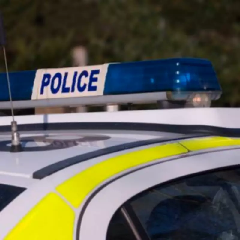 Human Skull Found Hanging from Tree in North London Woodland
