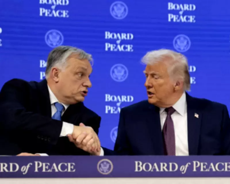 Hungary's Election: Orbán Emerges as a Unifying Force for US and Russia