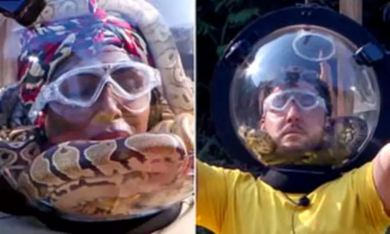 I'm A Celeb Trial Sees Seann Walsh and Sinitta Face Snakes in Helmets