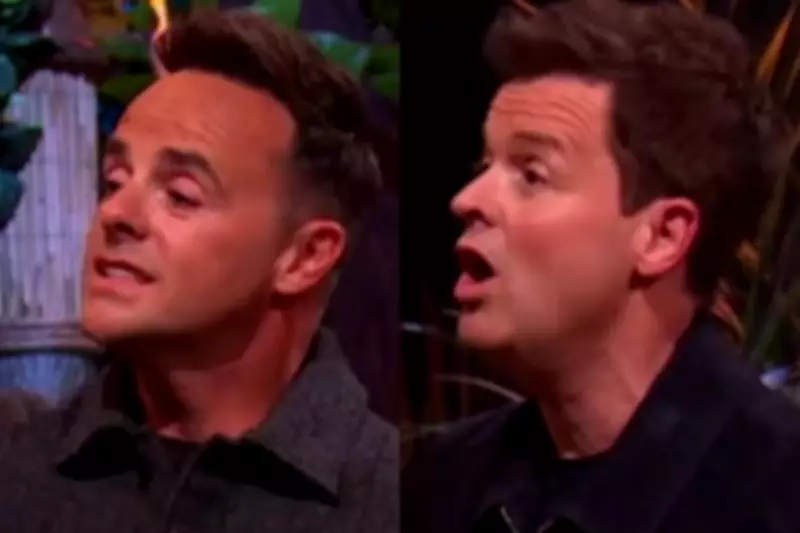 I'm a Celebrity All-Stars Future Revealed After Chaotic Final