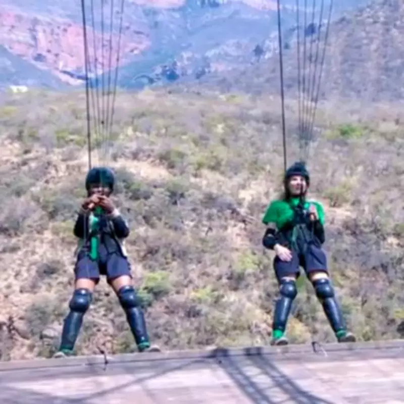 I'm A Celebrity Fans Outraged Over 'Robbed' Star in Giraffe Question Controversy