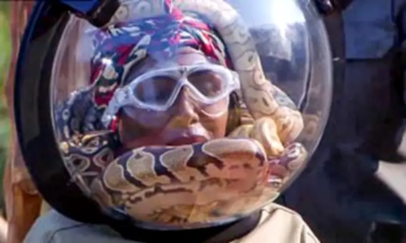 I'm A Celebrity Fans Predict Sinitta's Exit After Snake Trial Distress