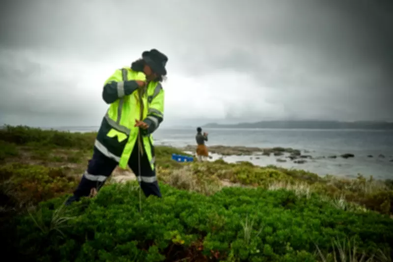 Indigenous Groups in Australia and Alaska Team Up to Track Migratory Shearwater