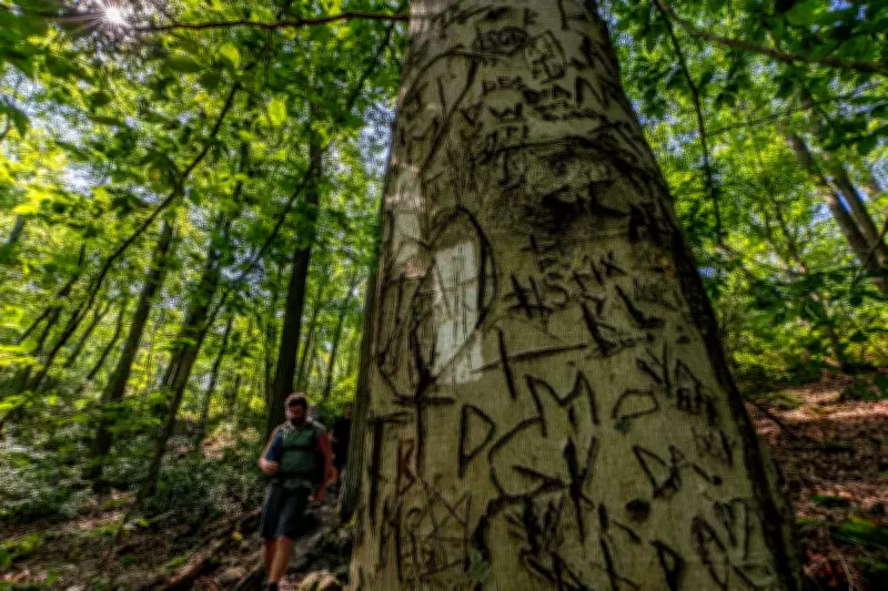 Indigenous Writer Confronts Ego and Erasure on the Appalachian Trail