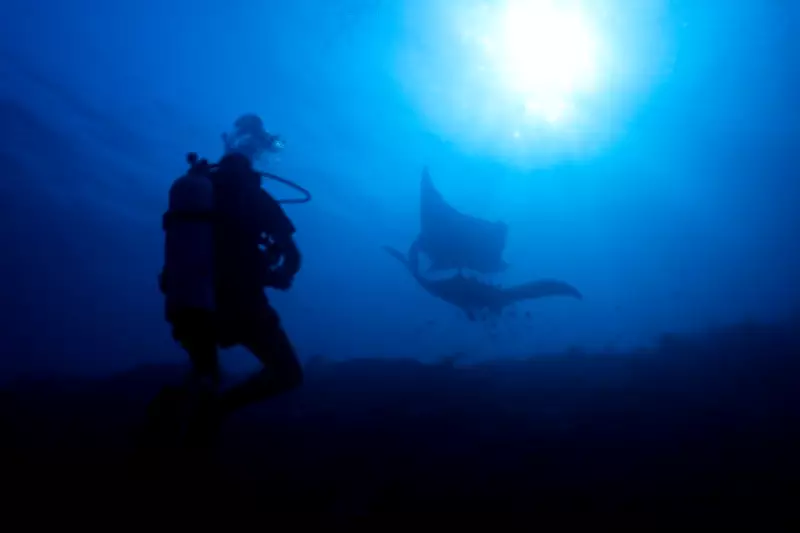 Indonesia's Raja Ampat: Conservation Success Faces Nickel Mining Threat