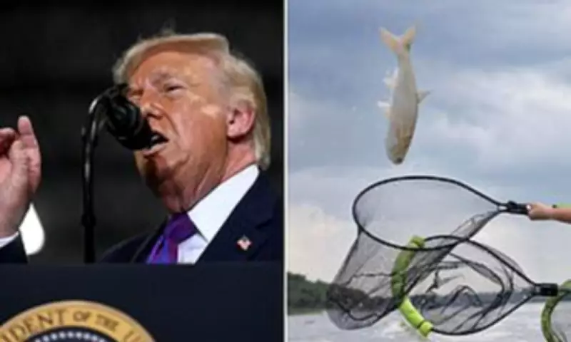 Invasive Asian Carp Force Fishermen to Wear Helmets in Great Lakes