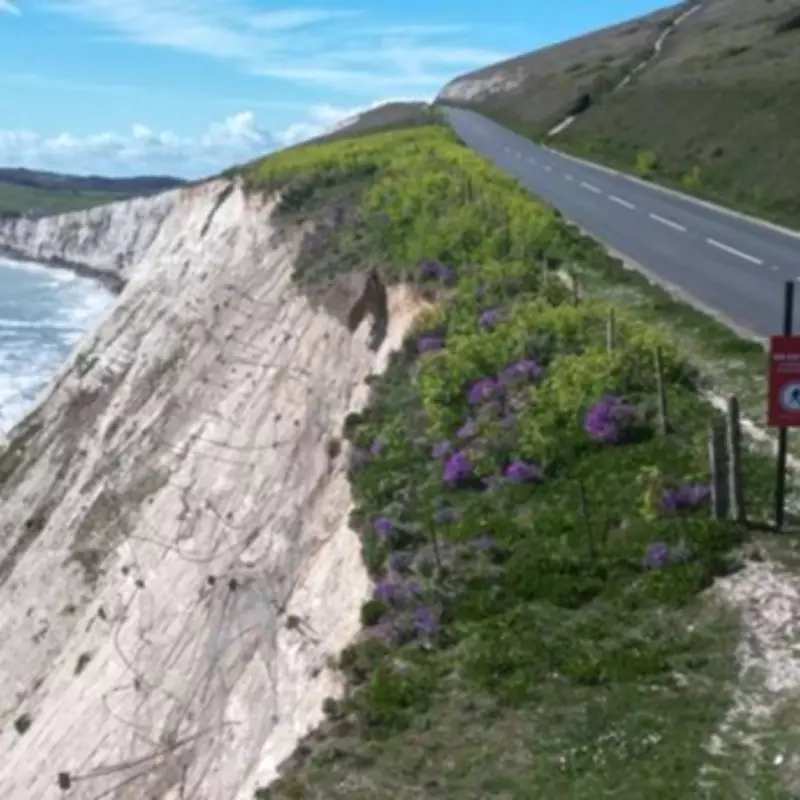 Isle of Wight's Military Road inches closer to cliff edge due to erosion