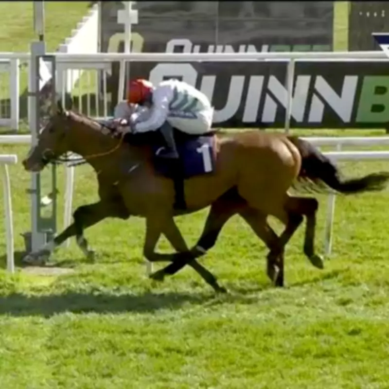 Jockey Brothers Sean and James Bowen in Dead Heat at Perth Festival