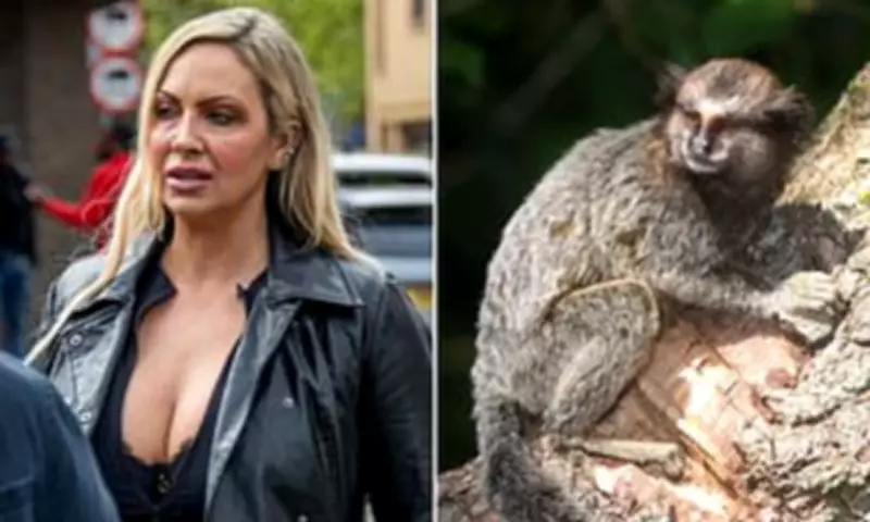 Jodie Marsh Secures Primate Licence for Essex Animal Sanctuary After Legal Battle