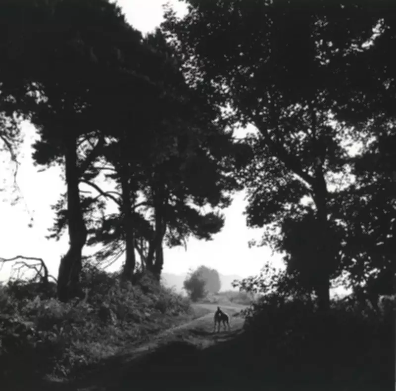 Johnnie Shand Kydd: From YBA Parties to Dog-Walk Photography