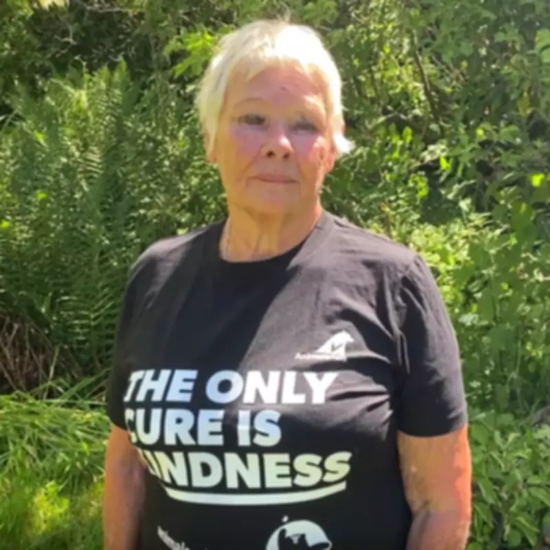Judi Dench's Plea: End Bear Bile Farming with Compassion and Rescue Final Bears