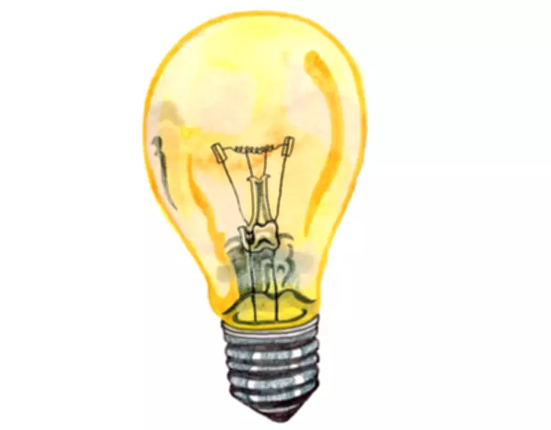 Kids' Quiz: Why Lightbulbs Heat Up and Global Panda Numbers