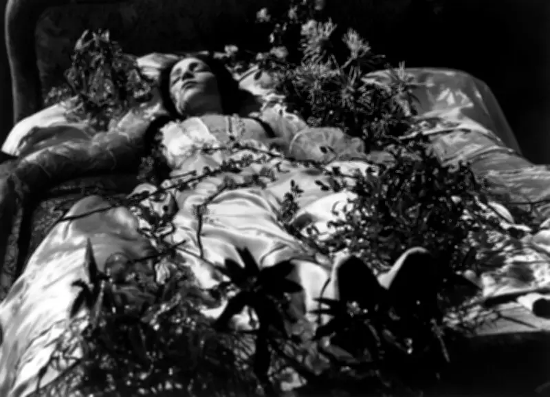 Kinaesthesia Review: A Scholarly Dive into Early Cinema's Dreamscapes