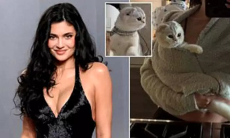 Kylie Jenner Faces Backlash Over Cat Photo Accused of Being Trendy Accessory
