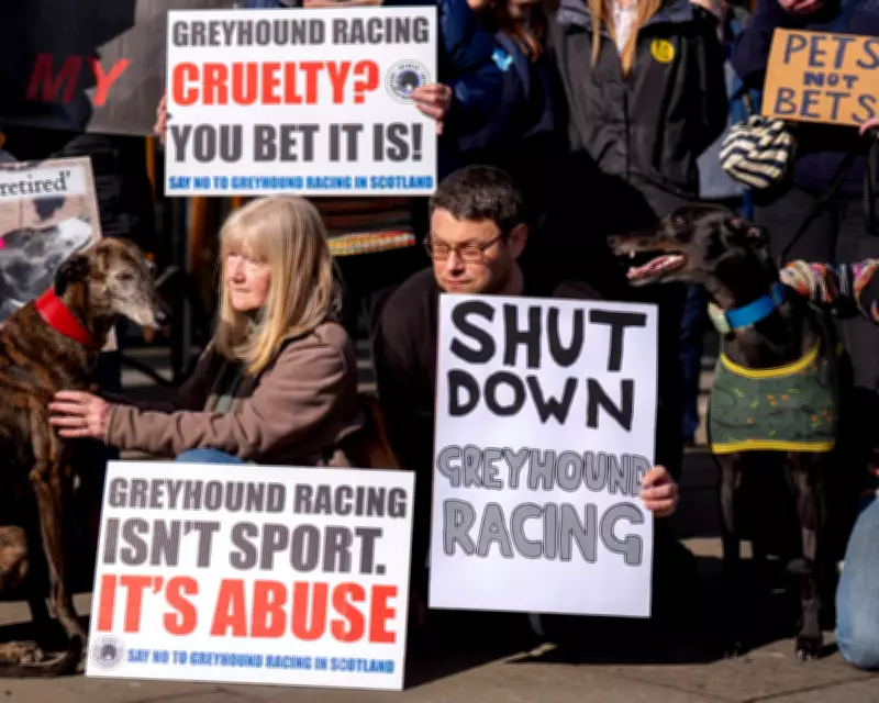 Labour MPs Pressure Starmer to Ban Greyhound Racing in England