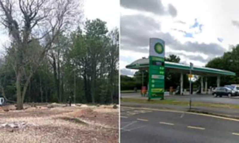 Landowner Hit with Record £268,000 Fine for Illegal Tree Felling at Petrol Station