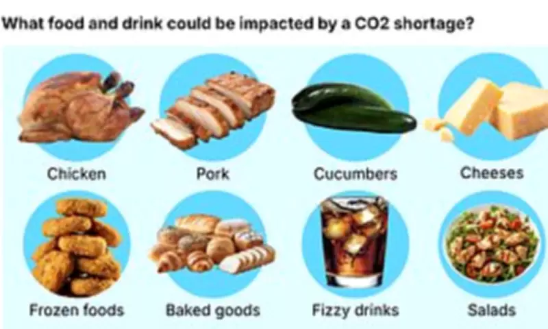 Leaked Report Warns of UK Food Shortages Due to Iran War Impact on CO2 Supplies