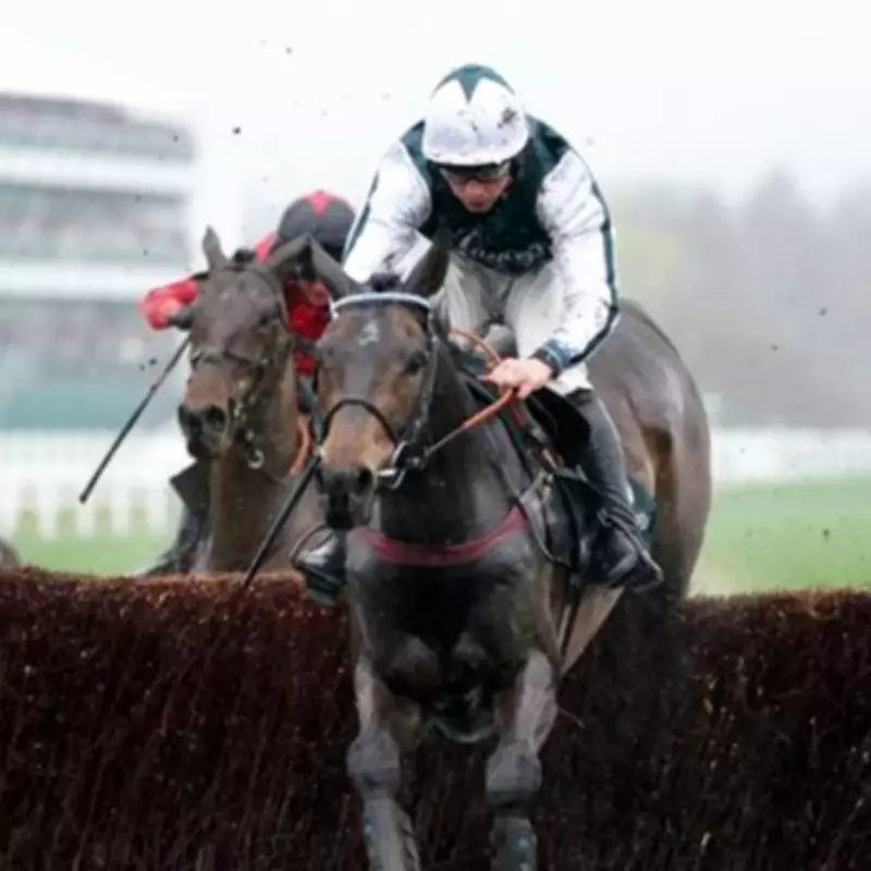 L'Homme Presse Ruled Out of Grand National Due to Minor Injury