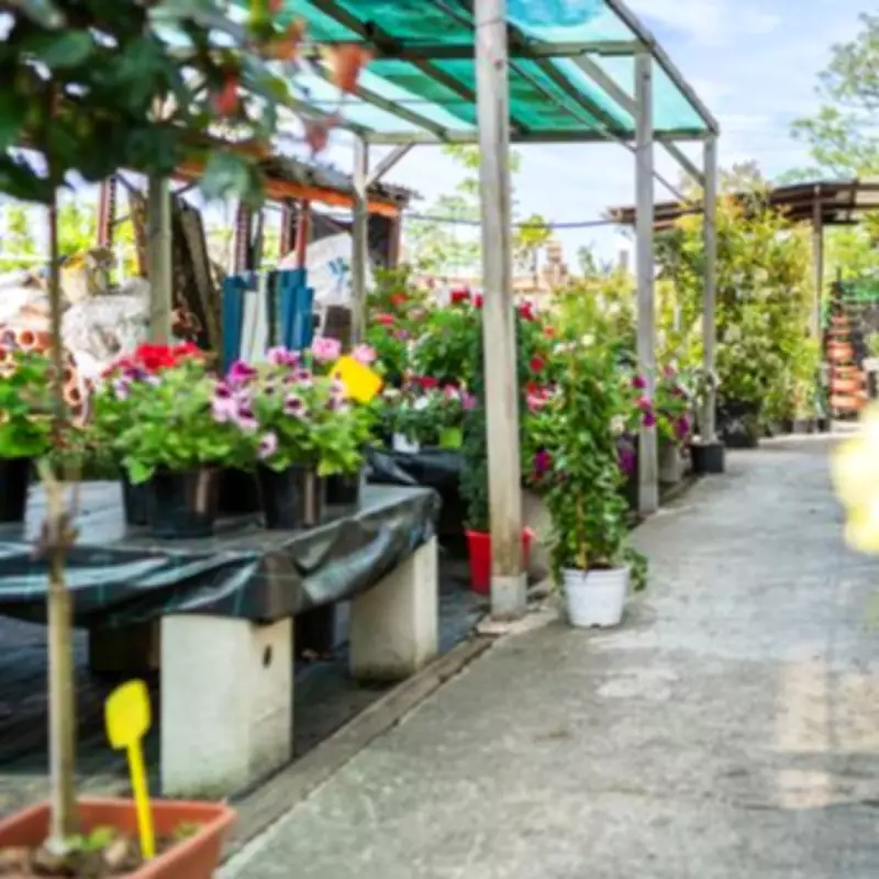 Lincolnshire Garden Centre Enters Administration After 30 Years of Operation