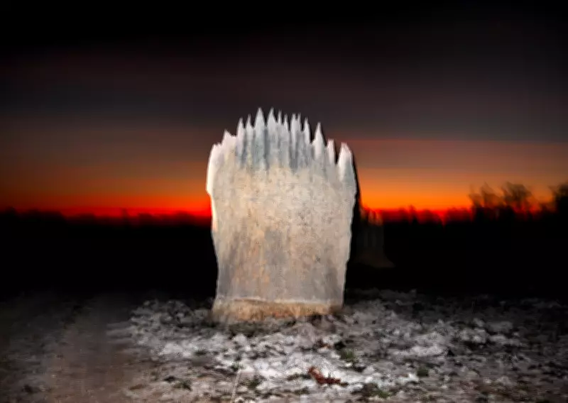 Liss Fenwick's The Colony: Termites Rewrite Colonial Narratives in New Photobook