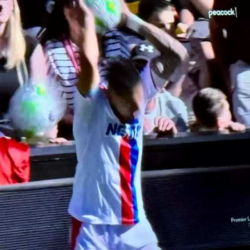 Liverpool fan throws ball at Daniel Munoz's head after controversial goal