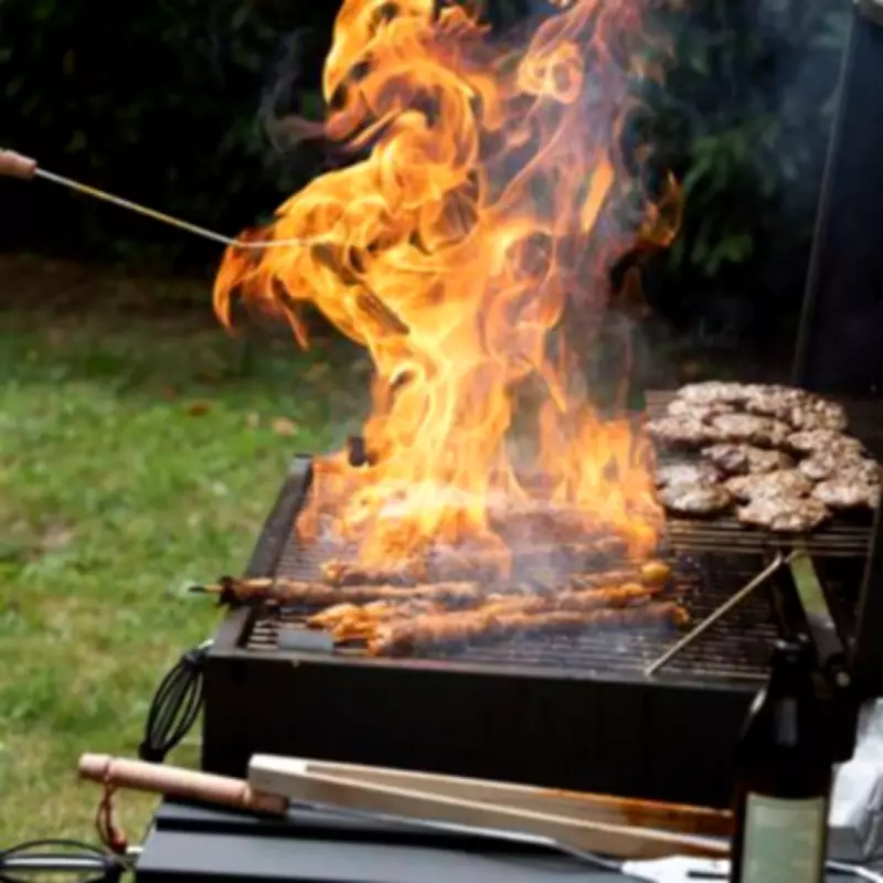 London Fire Brigade Issues Urgent Barbecue Safety Warning for Spring