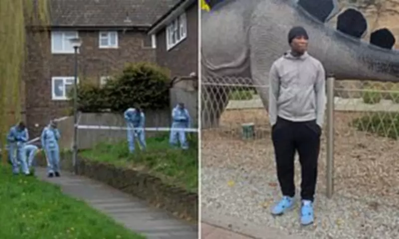 London Teen Shot Dead While Filming Rap Video, Mother 'Broken' by Tragedy