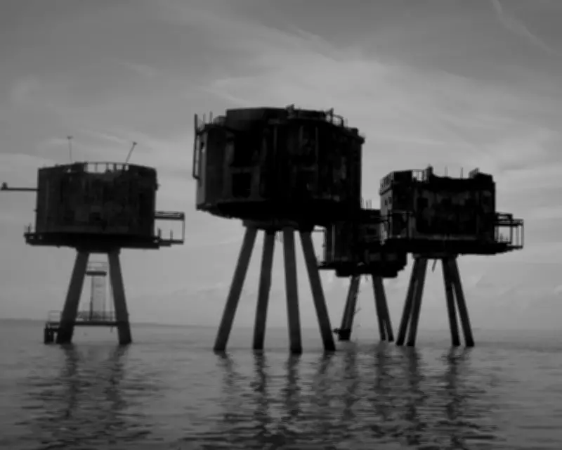 London's Last Wilderness Review: Eccentric Thames Estuary Documentary Voyage