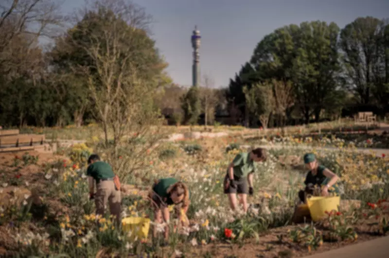 London's Queen Elizabeth Garden: A Biodiverse Haven in Regent's Park