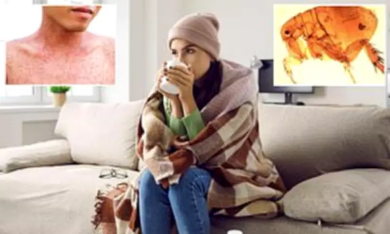 Los Angeles County Faces Record Typhus Outbreak as Cases Surge to All-Time High