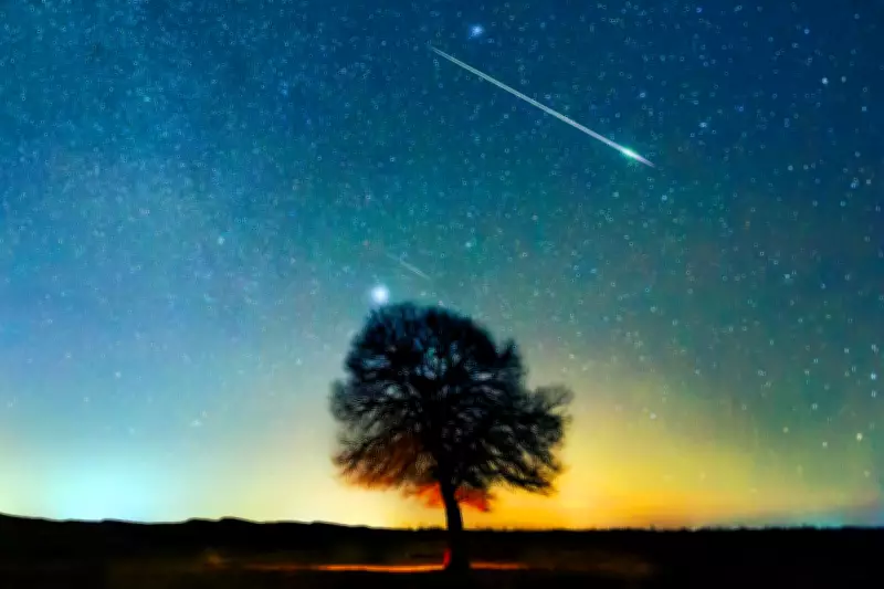 Lyrid Meteor Shower Peaks This Week: Best Viewing Tips Revealed